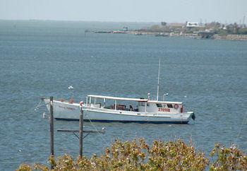 Springhill Island